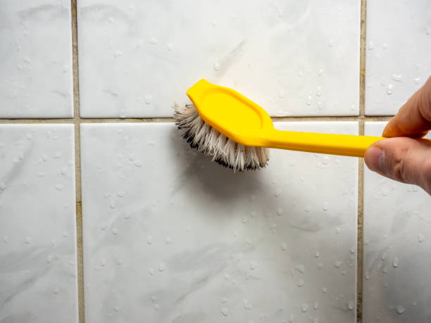 Reliable Oak Valley, NJ Mold Remediation Solutions