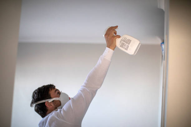 Best Basement Mold Remediation in Oak Valley, NJ