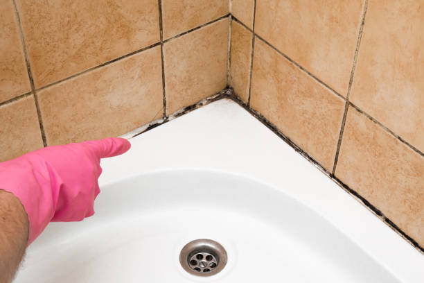 Best Insurance-Related Mold Remediation in Oak Valley, NJ
